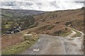 Forest Farm in Danby Dale