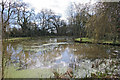 Pond near Swelling Hill