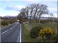 Drymen Road at Stockiemuir