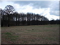 Richmond Park