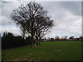 Stevens Park, East Wickham, Kent