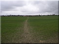 Footpath to Todwick