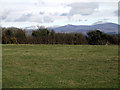 Fields near to Llanddaniel Fab