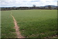 Footpath near Mawfield Farm