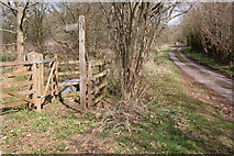 SO4337 : Footpath to Honeymoor Common by Philip Halling