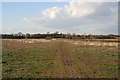 Rough Farmland at Mountsorrel