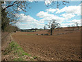 Oxfordshire farmland