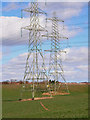 Twin pylons