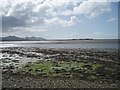 SH4559 : Looking south west across Foryd Bay (Nature Reserve) by Ian Warburton