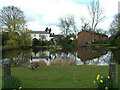 Woolmer Green Village Pond