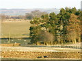 Farmland at Bees Cottage