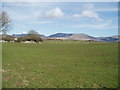 Open Countryside near Penygroes