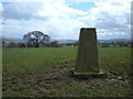 New Farm Trig pillar, 183m