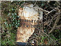 Toppled Milestone, Bagbrook Bridge