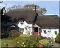 Box Cottage - 18th Century Grade II Cob and Thatch