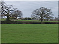 Llwyn Howell Farm near Rhiwabon