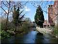 Hogsmill River