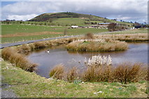 SJ1751 : Farm pond by Eirian Evans