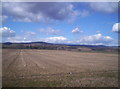 Field with Angus Hills Behind