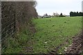 Pasture Land south of Redmoor