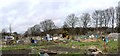 Allotments by Headingley Station