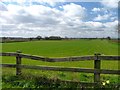 Arable Field, Greystone House Farm