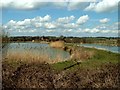 Countryside at Shalford, Essex