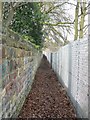 Footpath by railway cutting, Headingley