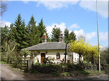 SJ5468 : Kelsall Lodge by Sue Adair