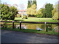 Village Pond Higher Whitley