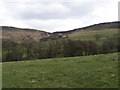 View to Pye Greave Farm