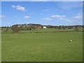 View towards Lilley Green Hall and farm