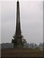 Obelisk, Pound House Lane, nr Hockley Heath