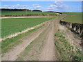 Track to Elmswell Wold Farm