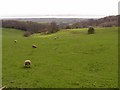 Towards the River Severn