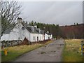 Houses at Torgyle