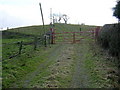 Track Leading to Glenboig Farm