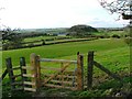 Fields Surrounding Thimbleby Grange