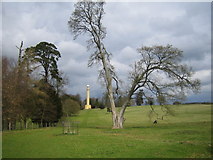 SP6737 : Stowe: Lord Cobham's Pillar by Nigel Cox