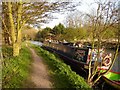 Narrowboat on the River Stort, Bishop