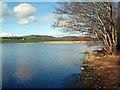 Mill Loch, Lochmaben