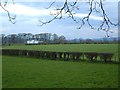 House & fields near Lockerbie