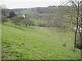 Roadside pasture