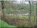 Dipping pond in the Plump Hill Environmental Centre Reserve