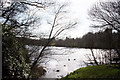 The Lake at Gnoll Country Park