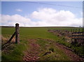 Another Field on Hill of Garvock