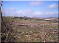 Banff from scene of recent logging