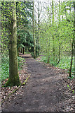 SK5107 : Martinshaw Wood, Groby by Kate Jewell