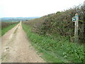 Bridleway, Dorset