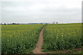 Farmland East of Repton village